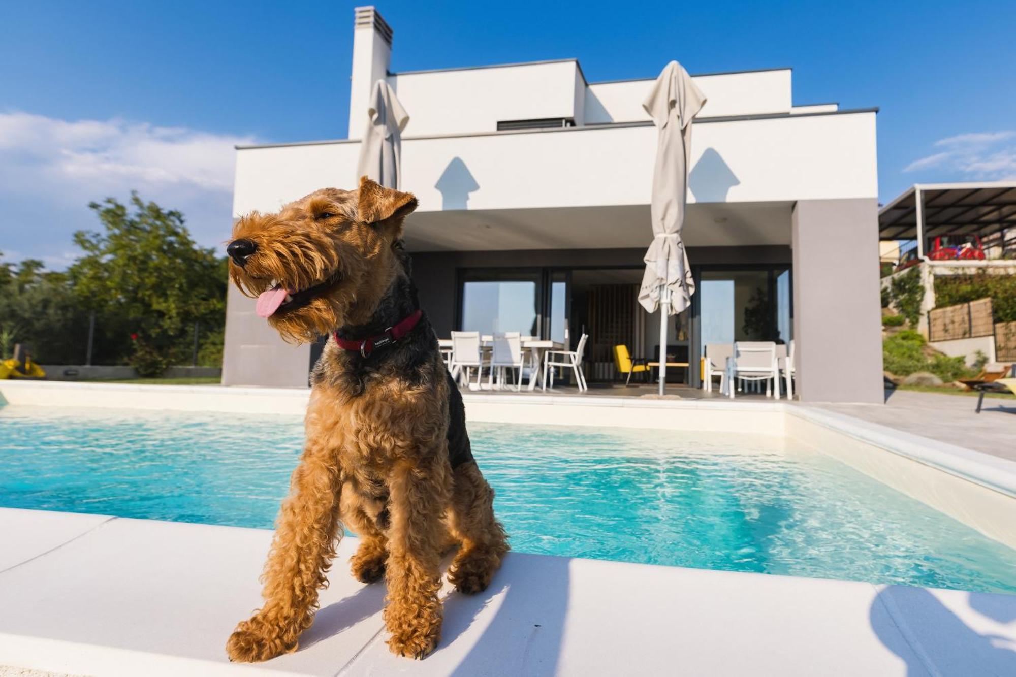 Villa Boiky - Private Pool And Amazing Sea View, Istria Materada Exterior foto